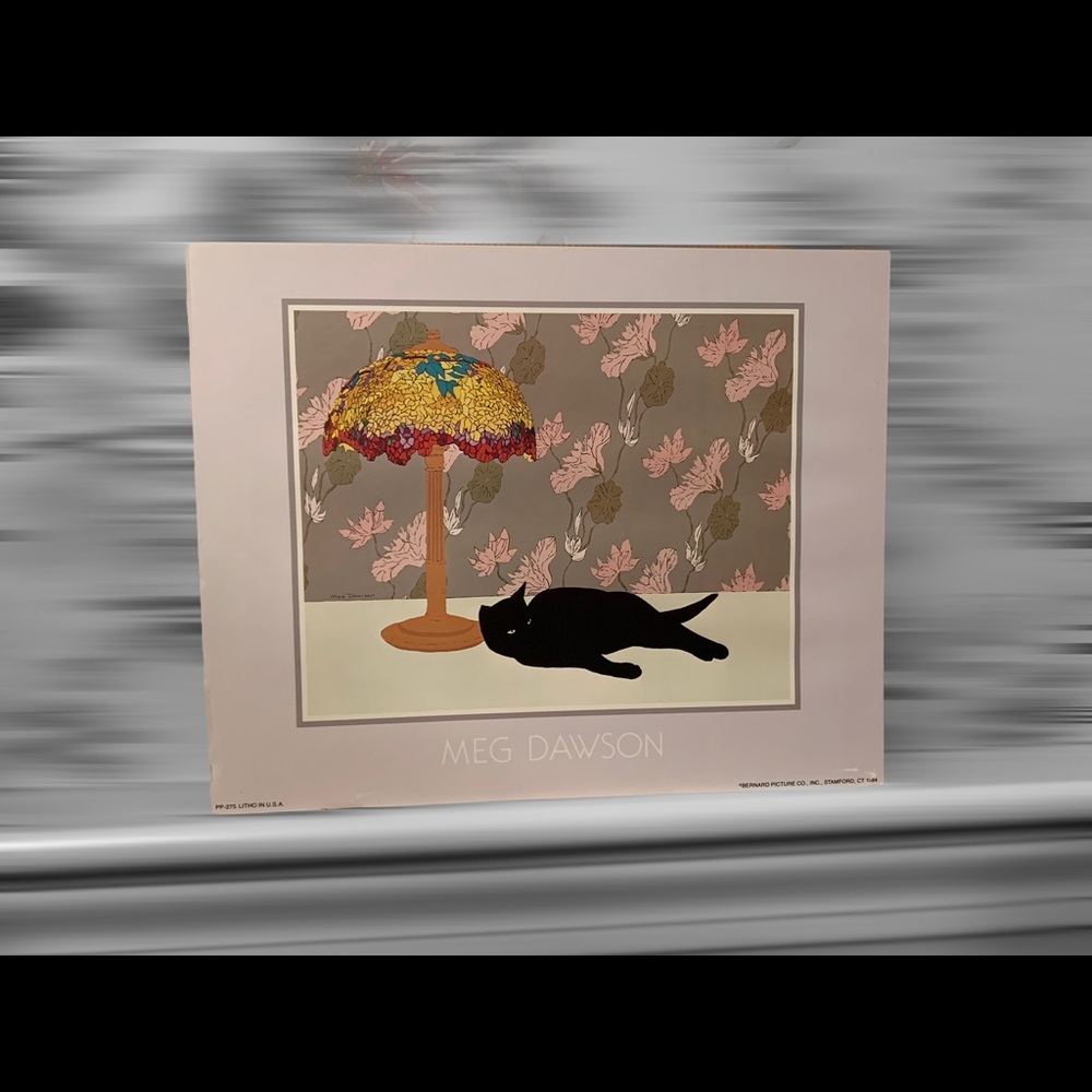 1984 vintage Meg Dawson print